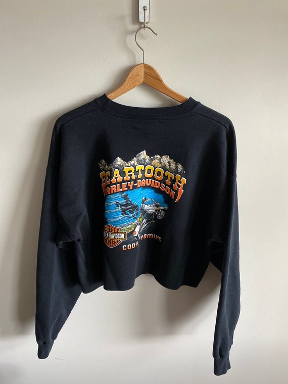 Vintage Harley Davidson cropped sweatshirt crewne… - image 2