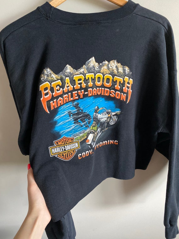 Vintage Harley Davidson cropped sweatshirt crewne… - image 5