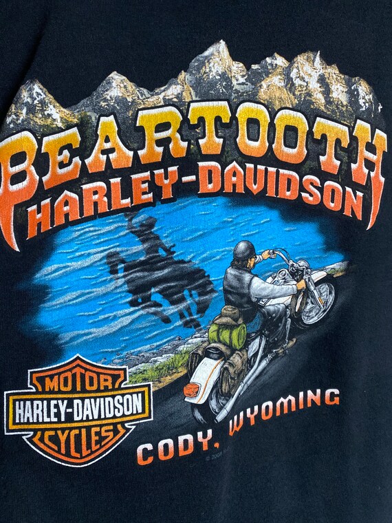 Vintage Harley Davidson cropped sweatshirt crewne… - image 7