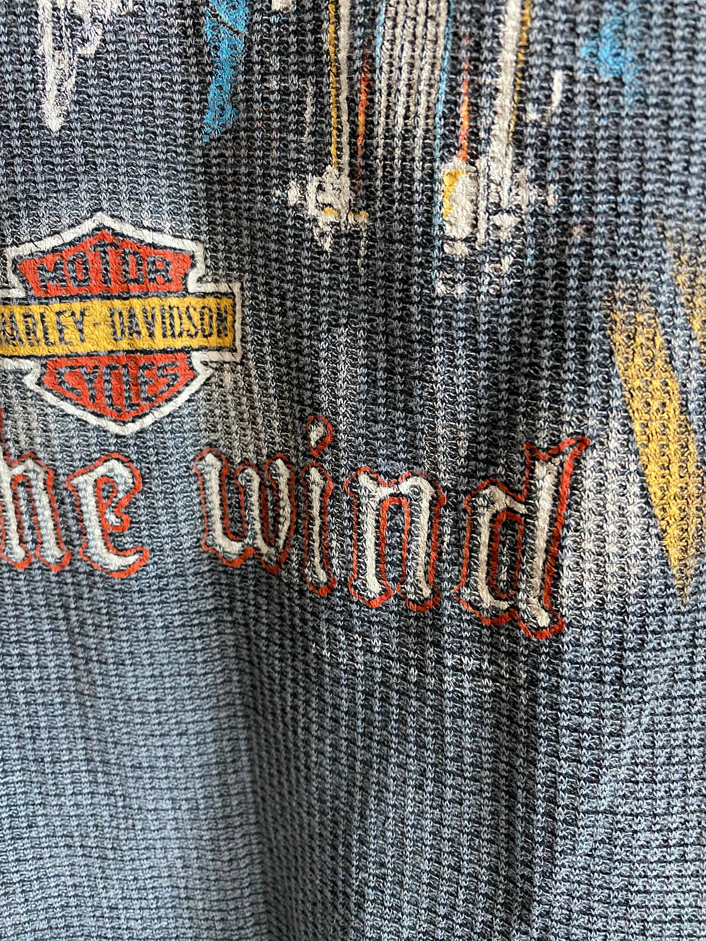 SUPER Rare 1980s Brothers in the Wind Vintage Harley Davidson 