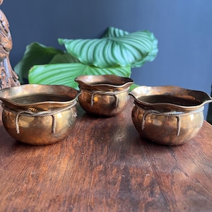 May include: Three small, antique brass planters with a rounded shape and wavy rims. Each planter has a decorative rope detail around the middle. The planters are arranged on a wooden surface, with green foliage in the background.