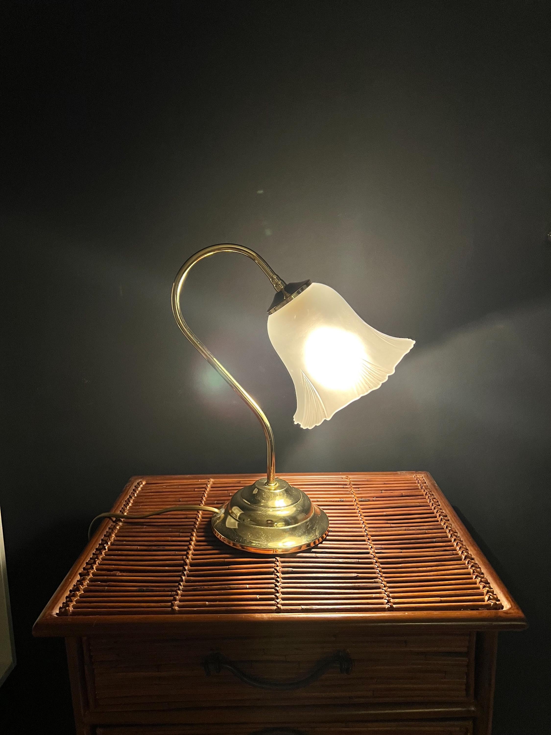 Vintage Electric Victorian Brown Flowers Hanging Parlor Gone
