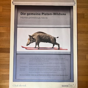 Póster vintage suizo original de 1999, póster de la compañía de seguros Suvaliv, póster de esquí suizo, póster artístico de los años 90, arte del jabalí suizo