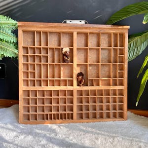 Vintage Letterpress Tray, Curio Display, Dark Academia Wall Decor, Display Gothic Prints, Crystal Shelf Display, Storage unit