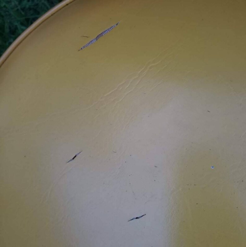 Vintage Mid Century Patio Set/patio Set W/seat Cushions Etsy