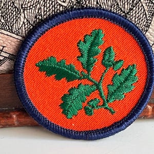 Vintage NATIONAL TRUST Patch Orange Conservation Charity Oak Leaves Acorn Badge