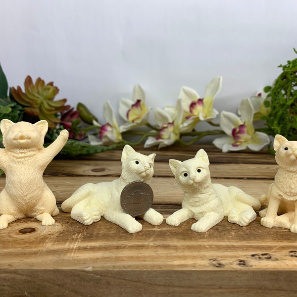 Beautiful cats carved out of natural Tagua nut sweet vibes great carvings beautiful home altars or office decor Us seller fast shipping TA1