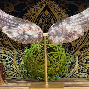 May include: A pair of clear crystal wings with red and white inclusions, mounted on a gold metal stand. The wings are displayed against a black and gold patterned background.