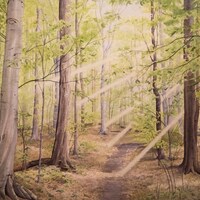 Joseph Smith Walking to the Sacred Grove, Modern LDS Art, the First ...