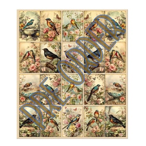 Può includere: Un collage in stile vintage con 16 immagini singole di uccelli appollaiati su rami e fiori. Ogni immagine ha uno sfondo marrone chiaro con un aspetto sbiadito e antico. Gli uccelli sono raffigurati in varie pose e colori, tra cui blu, verde, giallo e marrone.