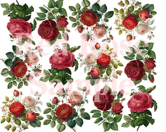 PRE-ORDER MEDIUM Red Roses Floral Fabric Applique Fabric