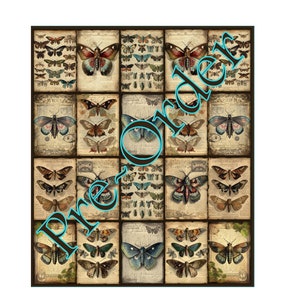 May include: A vintage collage of 20 different butterfly illustrations on a cream background. The butterflies are in various colours, including blue, green, brown, and orange. The illustrations are framed in a brown border.