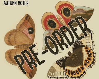 PRE-ORDER 3 JUMBO Autumn Moths