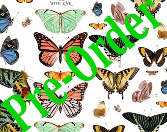 PRE-ORDER Medium Butterfly Garden Fabric Applique Free US Shipping
