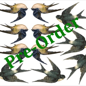 Puede incluir: Un conjunto de ocho ilustraciones de golondrinas de estilo vintage. Las aves se representan en vuelo con las alas extendidas. Las aves están pintadas en tonos de marrón, negro y blanco.