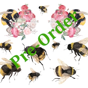 May include: A watercolour illustration of bumblebees and roses with the text "Pre-Order" in green. The bumblebees are depicted in various poses, some with wings spread and some with wings folded. The roses are in shades of pink and white.