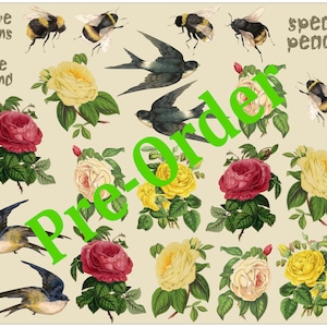 Könnte beinhalten: Eine Sammlung botanischer Illustrationen mit roten, gelben und cremefarbenen Rosen, fliegenden Schwalben und Hummeln auf cremefarbenem Grund. Der Text lautet love wins, Be Kind und speak peace, mit einem großen grünen Pre-Order Wasserzeichen.