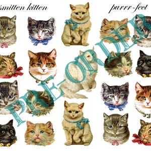 May include: A collection of vintage-style cat illustrations. The image features various cat portraits with different fur patterns and colors, some adorned with ribbons and collars. The text "smitten kitten" and "purrr-fect" are at the top.