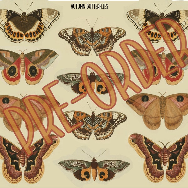 PRE-ORDER JUMBO Autumn Butterfly Moth Applique Panel