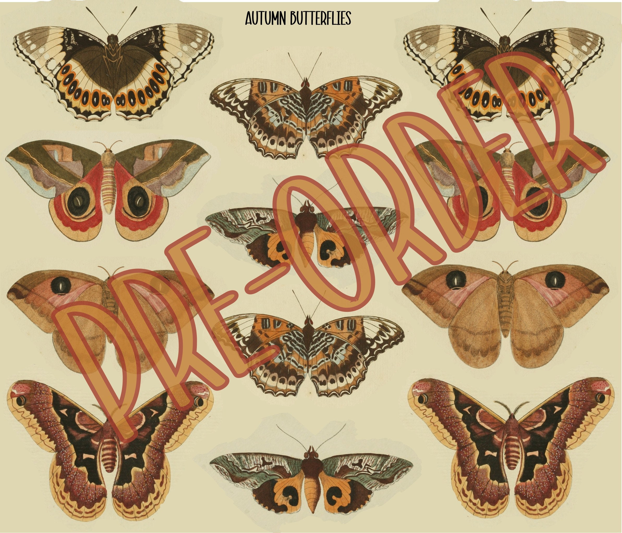 PRE-ORDER JUMBO Autumn Butterfly Moth Applique Panel