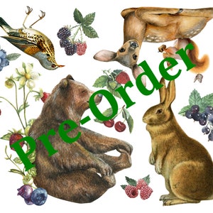 May include: A watercolor illustration of a brown bear, a deer, a rabbit, and a bird surrounded by berries, flowers, and leaves. The text "Pre-Order" is superimposed over the image.