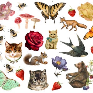 Könnte beinhalten: Eine Sammlung von Illustrationen mit einem Braunbären, einem Fuchs, einem Eichhörnchen, drei Katzen, einer Schwalbe, mehreren Hummeln, gelben, orangen und grünen Schmetterlingen, roten und gelben Rosen, roten Pilzen und Erdbeeren auf weißem Grund.