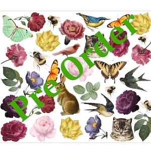 Puede incluir: Un collage digital con una variedad de imágenes, incluyendo flores, pájaros, mariposas, un conejo y gatos. La palabra "Preorder" está escrita en letras verdes grandes a través de la imagen.