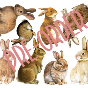 Puede incluir: Una colección de nueve ilustraciones de conejos marrones y blancos. Los conejos están en varias poses, algunos están sentados, algunos están de pie y algunos están tumbados. Las ilustraciones son de estilo de dibujos animados y tienen un toque caprichoso.