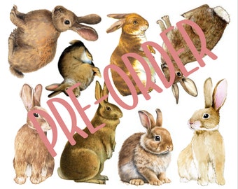 PRE-ORDINE Applique in tessuto di grandi dimensioni consentita solo ai conigli. Spedizione gratuita negli Stati Uniti