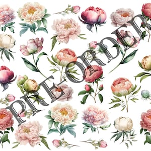 Puede incluir: Una ilustración digital de una colección de peonías rosas, blancas y melocotón con hojas y tallos verdes. Las flores están dispuestas en un patrón aleatorio sobre un fondo blanco.