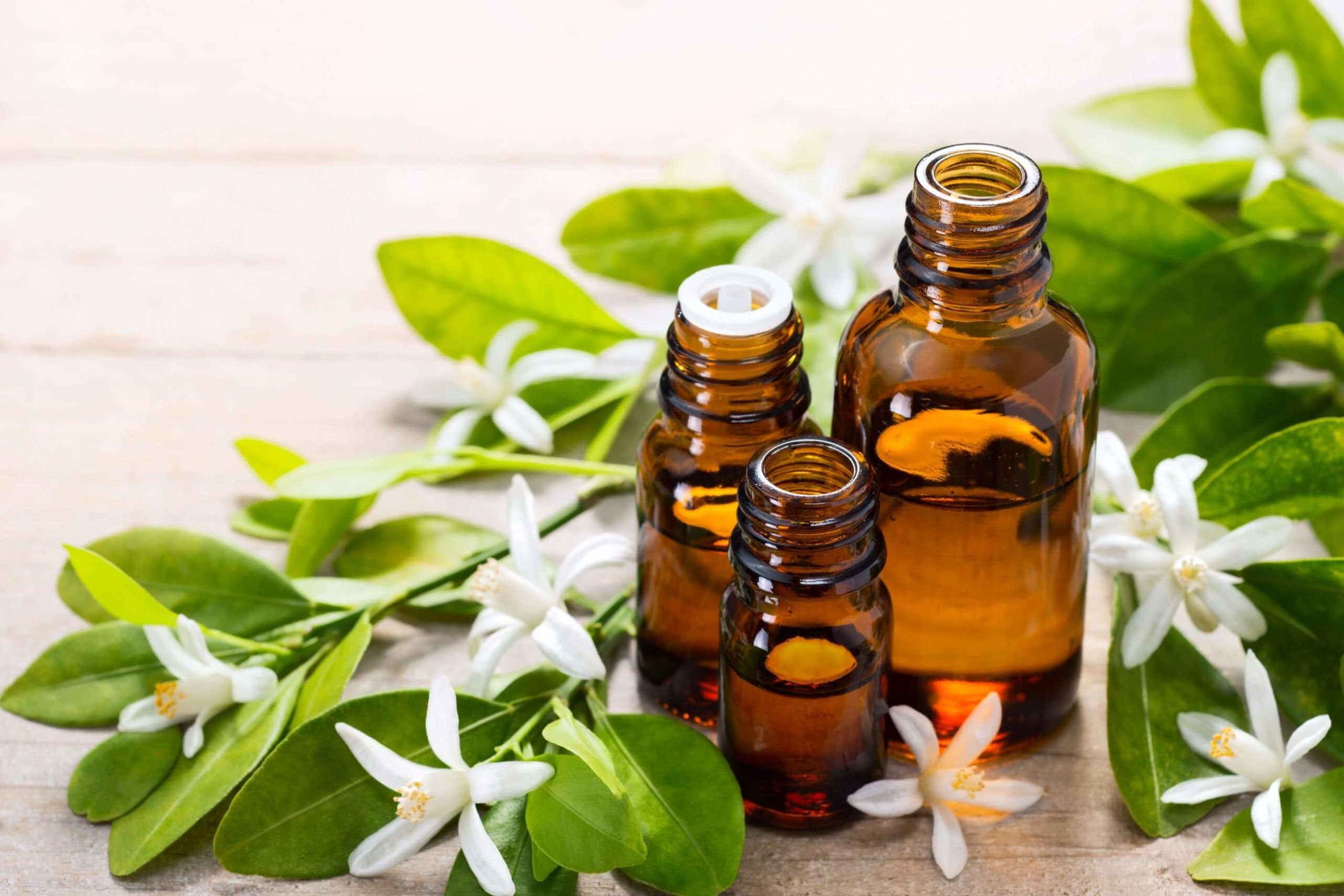 Pure Organic Neroli Essential Oil Etsy