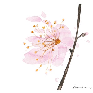 Stampa di belle arti dal disegno originale a inchiostro
