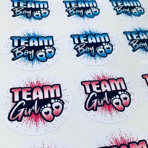 May include: A set of round stickers with a blue and white design featuring the text "TEAM BOY" and a pink and white design featuring the text "TEAM GIRL".