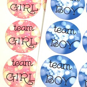 Gender Reveal Stickers | Baby Shower Stickers | Gender Reveal Decorations | Team Girl Team Boy Party Ideas