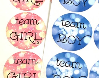 Gender Reveal Stickers | Baby Shower Stickers | Gender Reveal Decorations | Team Girl Team Boy Party Ideas