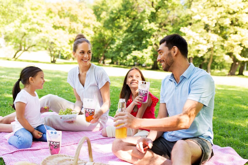 May include: A family of four enjoys a picnic on a pink and white checked blanket in a grassy park. They are drinking from colourful pouches with the word "TEAM" printed on them.