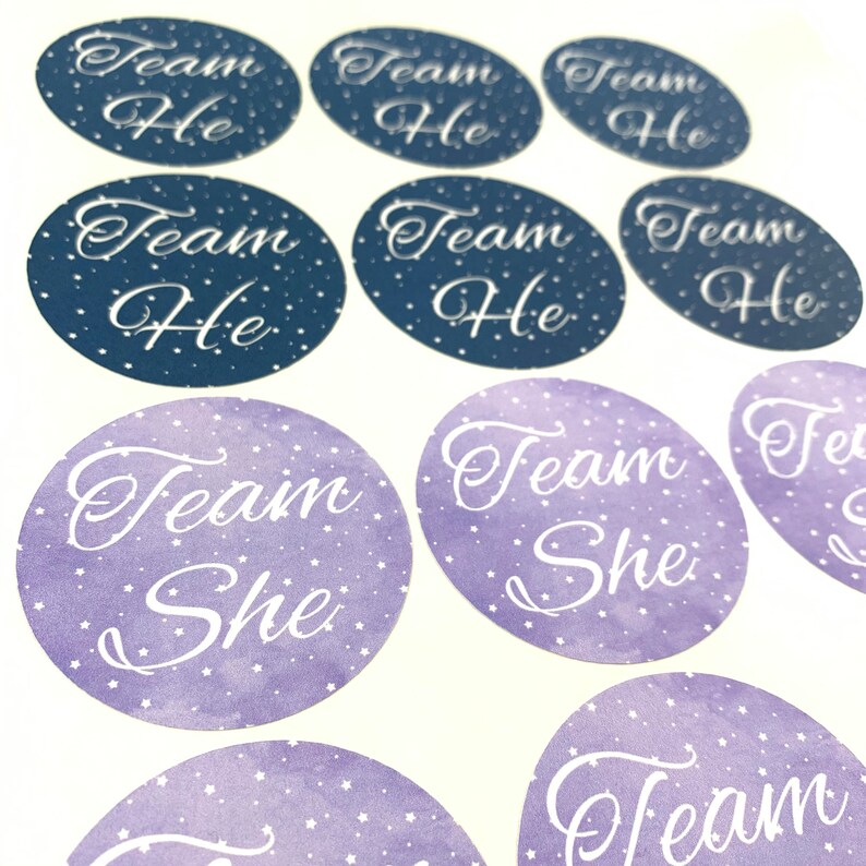 He or She Gender Reveal Stickers Labels Tags | Baby Shower Christmas ...