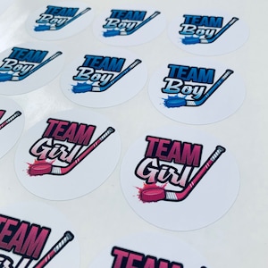 May include: Twelve round stickers with a hockey stick and puck design. Six stickers say "Team Boy" in blue with a blue hockey stick and puck. Six stickers say "Team Girl" in pink with a pink hockey stick and puck.