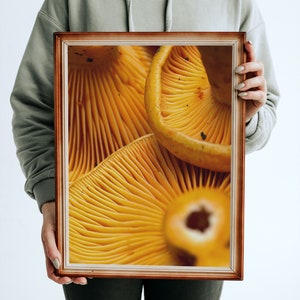 Orange Gills-Premium Poster, Mycelium Addict, Home Decor, Wall Art - 11&quot;x14&quot;