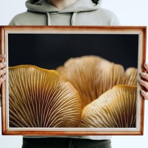 Mycelium Magick - Premium Poster, Home Decor, Fungi Lovers, Mushroom Madness