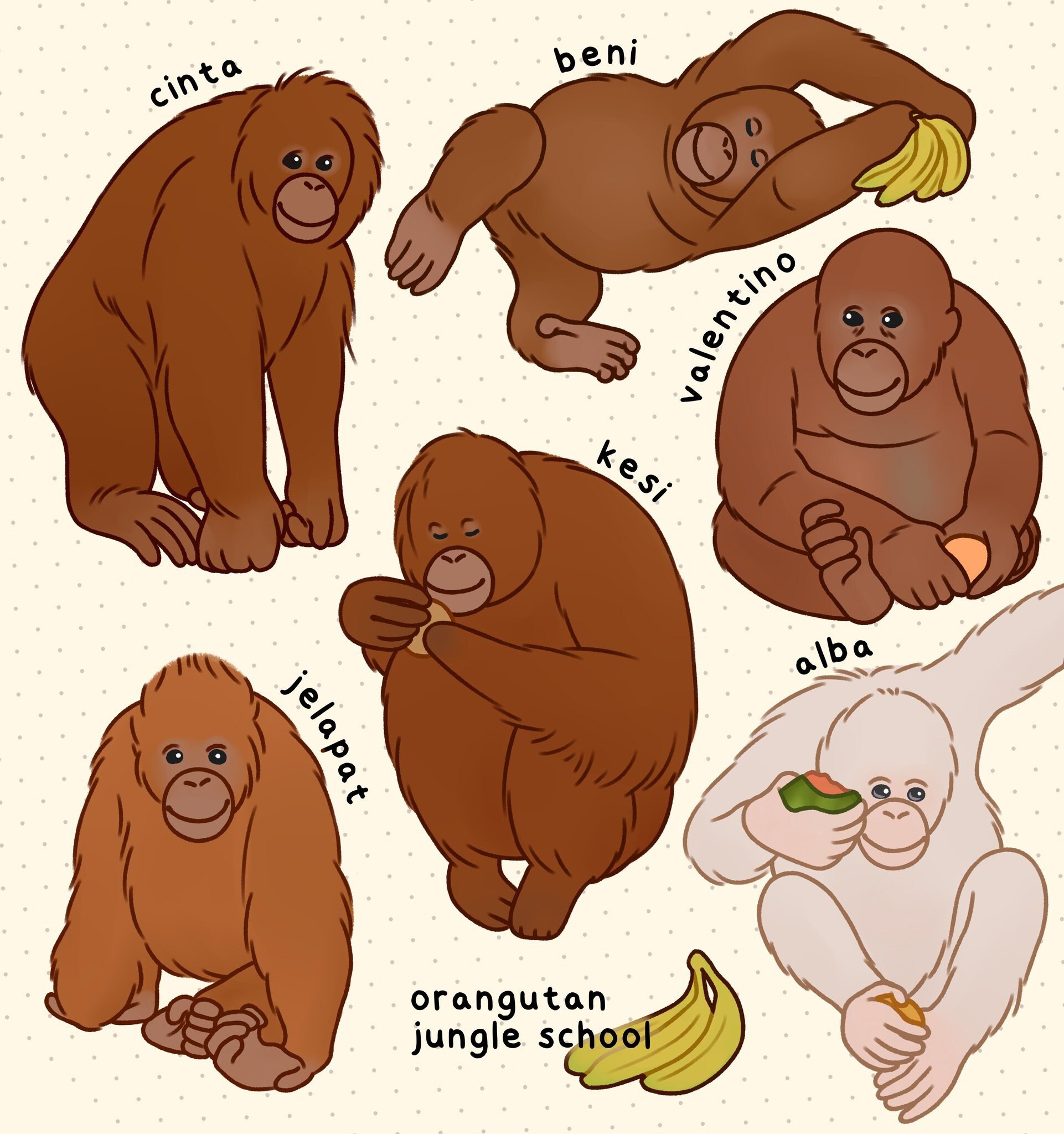 Orangutan Stickers - 50% Donated To Charity! Borneo Orangutan Surviva…