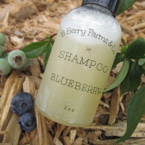 Blueberry Shampoo