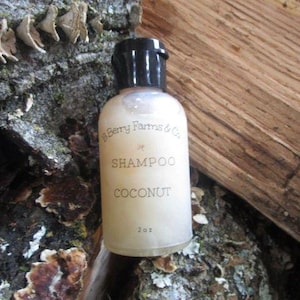 Coconut Shampoo