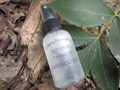 Sandalwood Day Spray Cologne