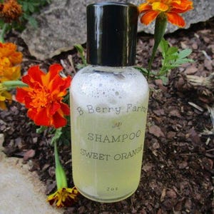 Sweet Orange Shampoo