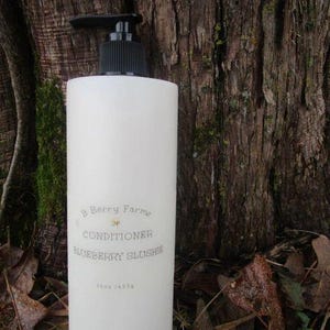 Blueberry Slushie Conditioner