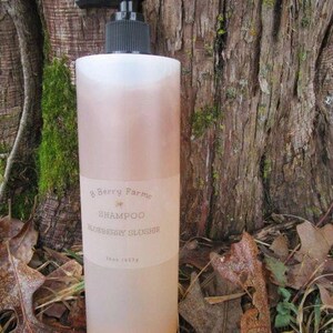 Blueberry Slushie Shampoo