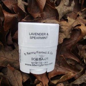 Lavender & Spearmint Dog Balm