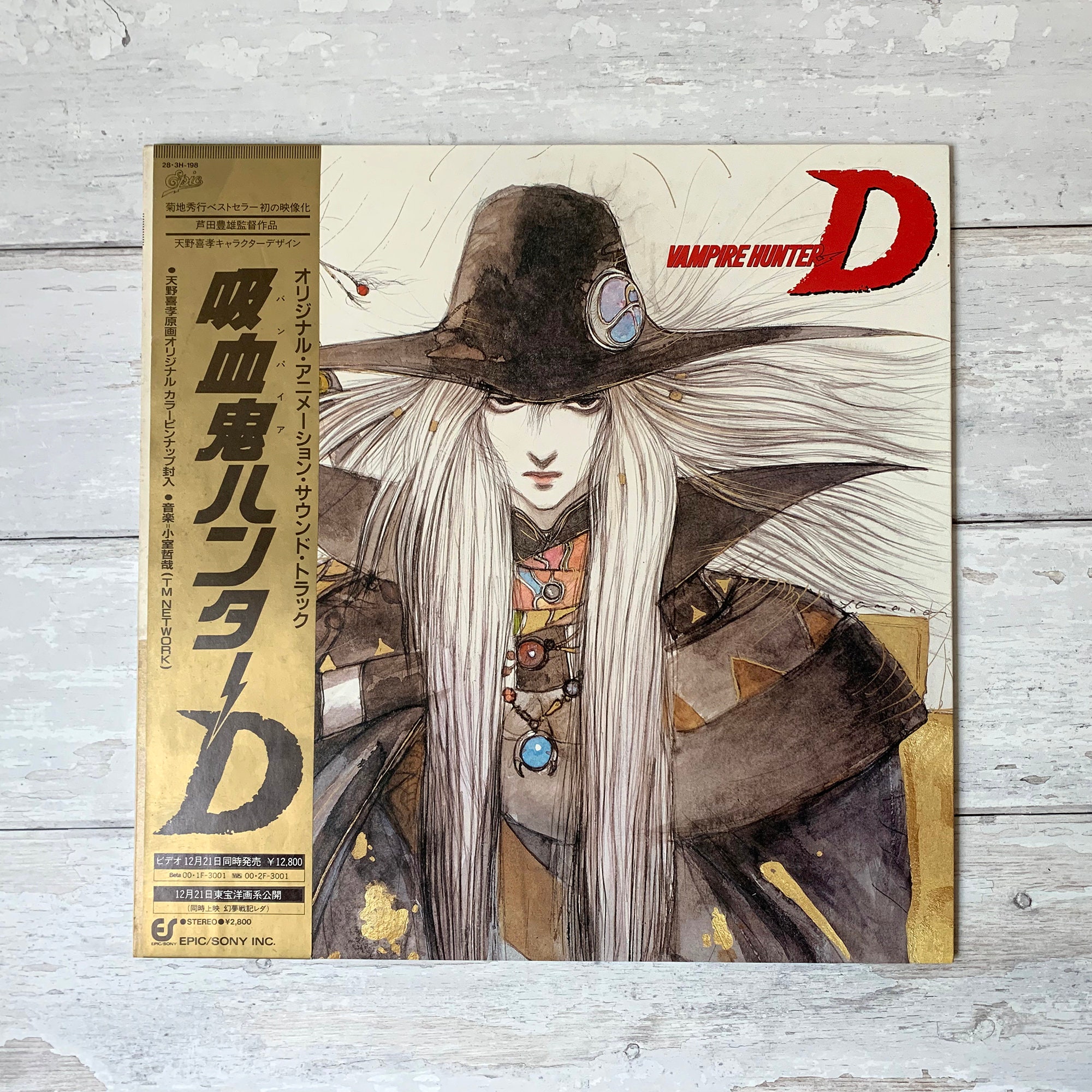 バンパイアハンターD ポスター 木製フレーム付き バンパイアハンターD ポスター バンパイアハンターD ポスター