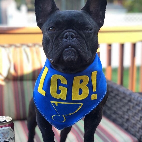 st louis blues dog jersey